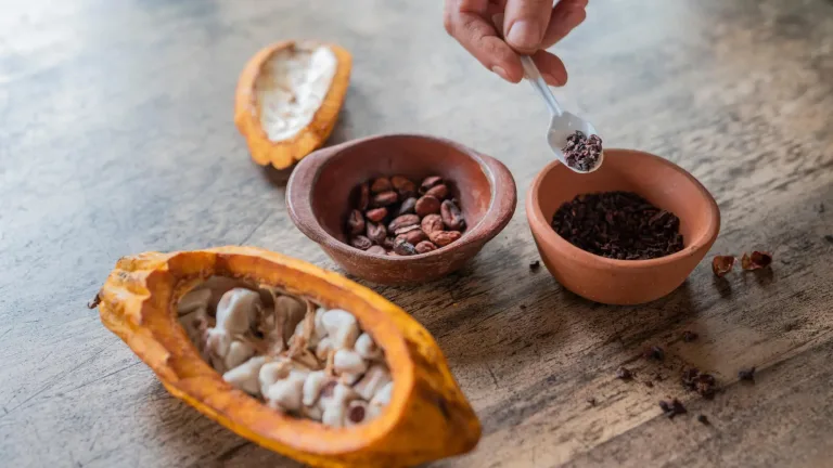 The best cocoa was born in the heart of the world